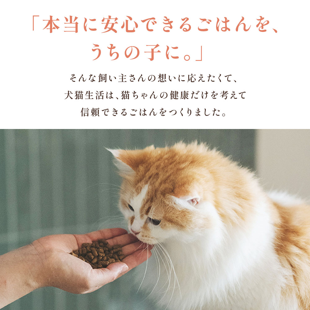 楽天市場】犬猫生活 キャットフード 猫 オールステージ ドライ 総合