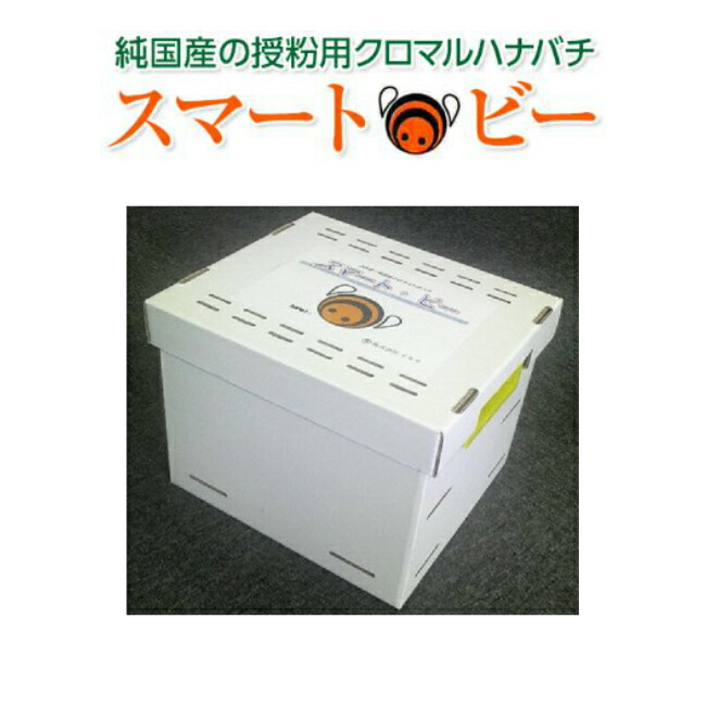 楽天市場】KR100/110V68WXE17 TOSHIBA ミニクリX T形 10%節電設計 75W