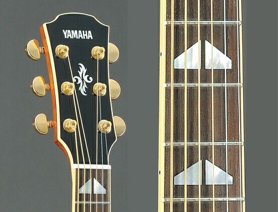 楽天市場】YAMAHA / APX1000 Pearl White (PW) ヤマハ エレアコ