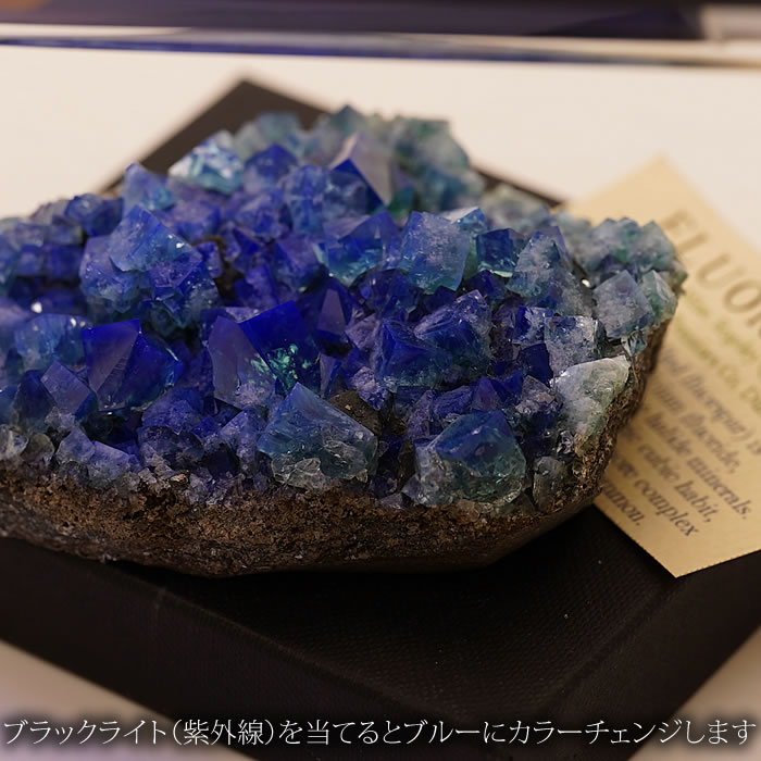 楽天市場】【一点物】【希少】【蛍光】ロジャリーフローライト 原石