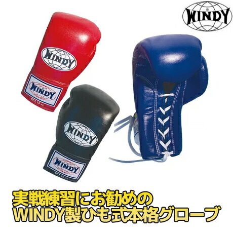 楽天市場】windy グローブ 紐式の通販
