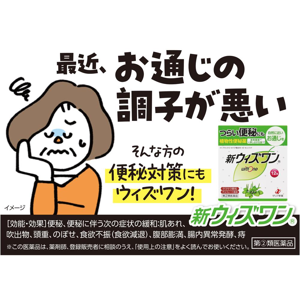 楽天市場】【指定第2類医薬品】新ウィズワン 48包 : サンドラッグe-shop