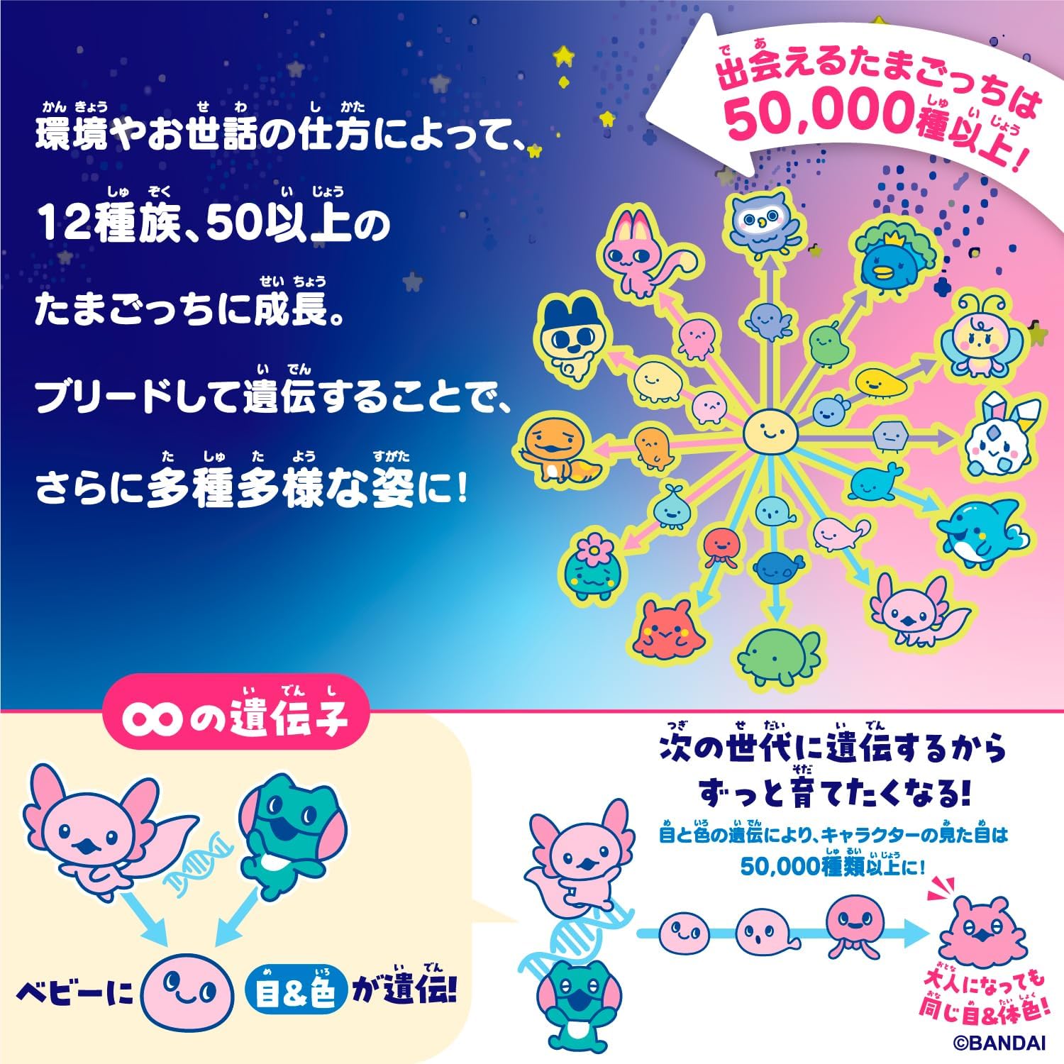 楽天市場】【最強翌日配送利用可能】 たまごっちパラダイス 「Blue