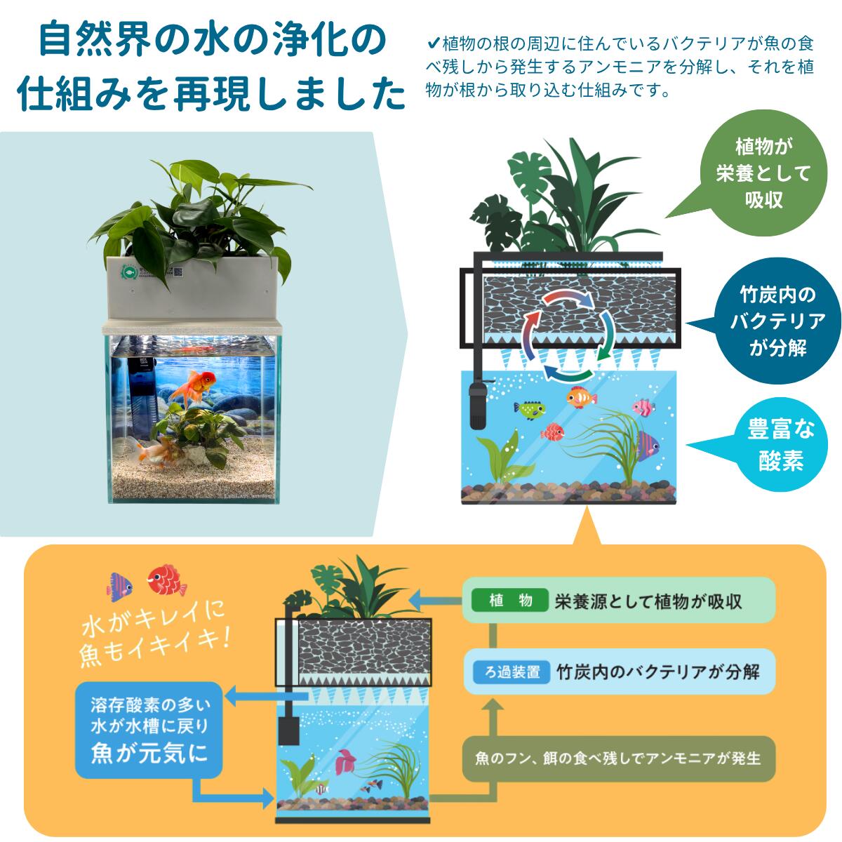 水換えの要らないビオトープ nvbox22 水換えの要らないビオトープ