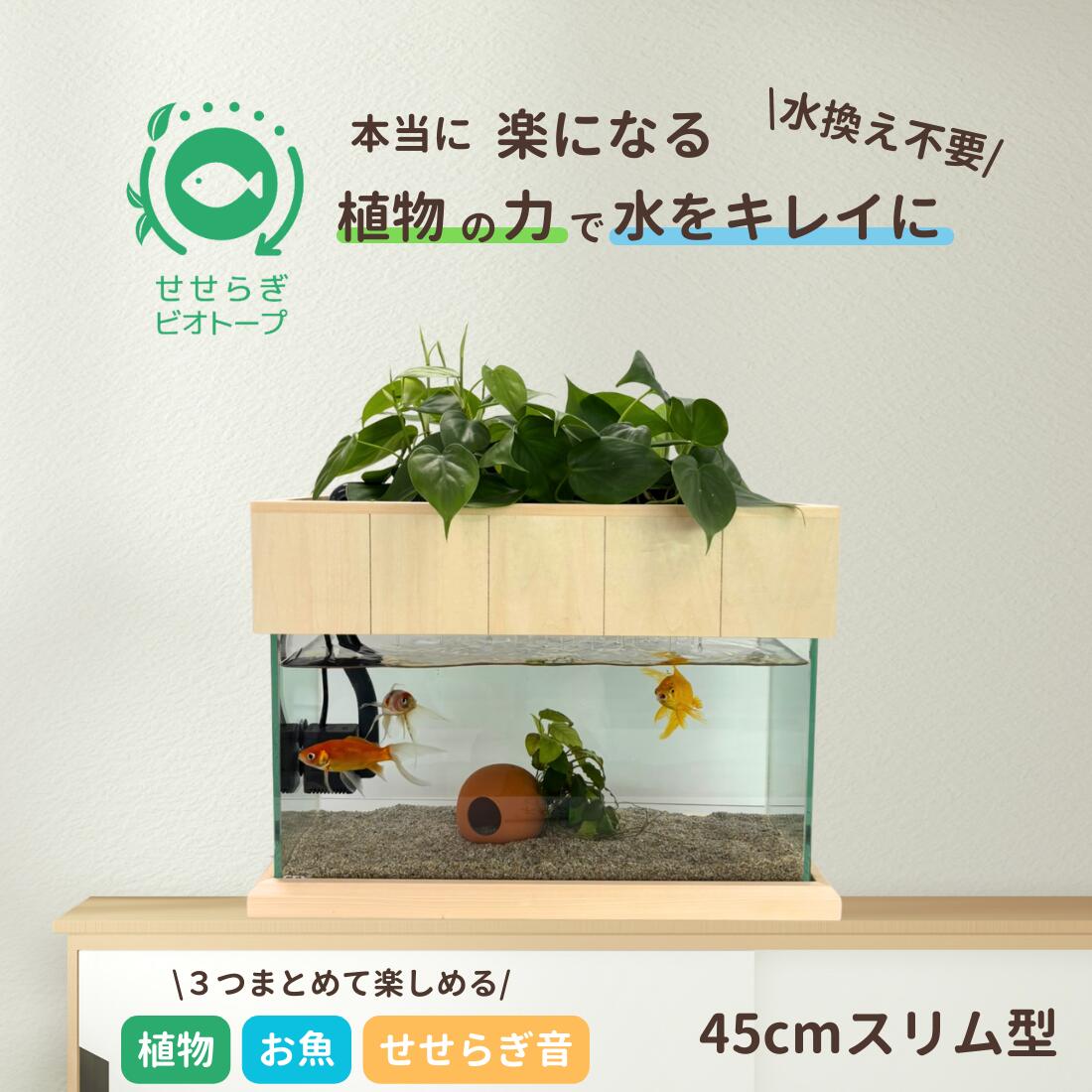 カフェラテさま専用西条庭園 せせらぎビオトープセット Amazon | せせらぎビオトープ 水替え不要【水槽セット】 20cm型 【色