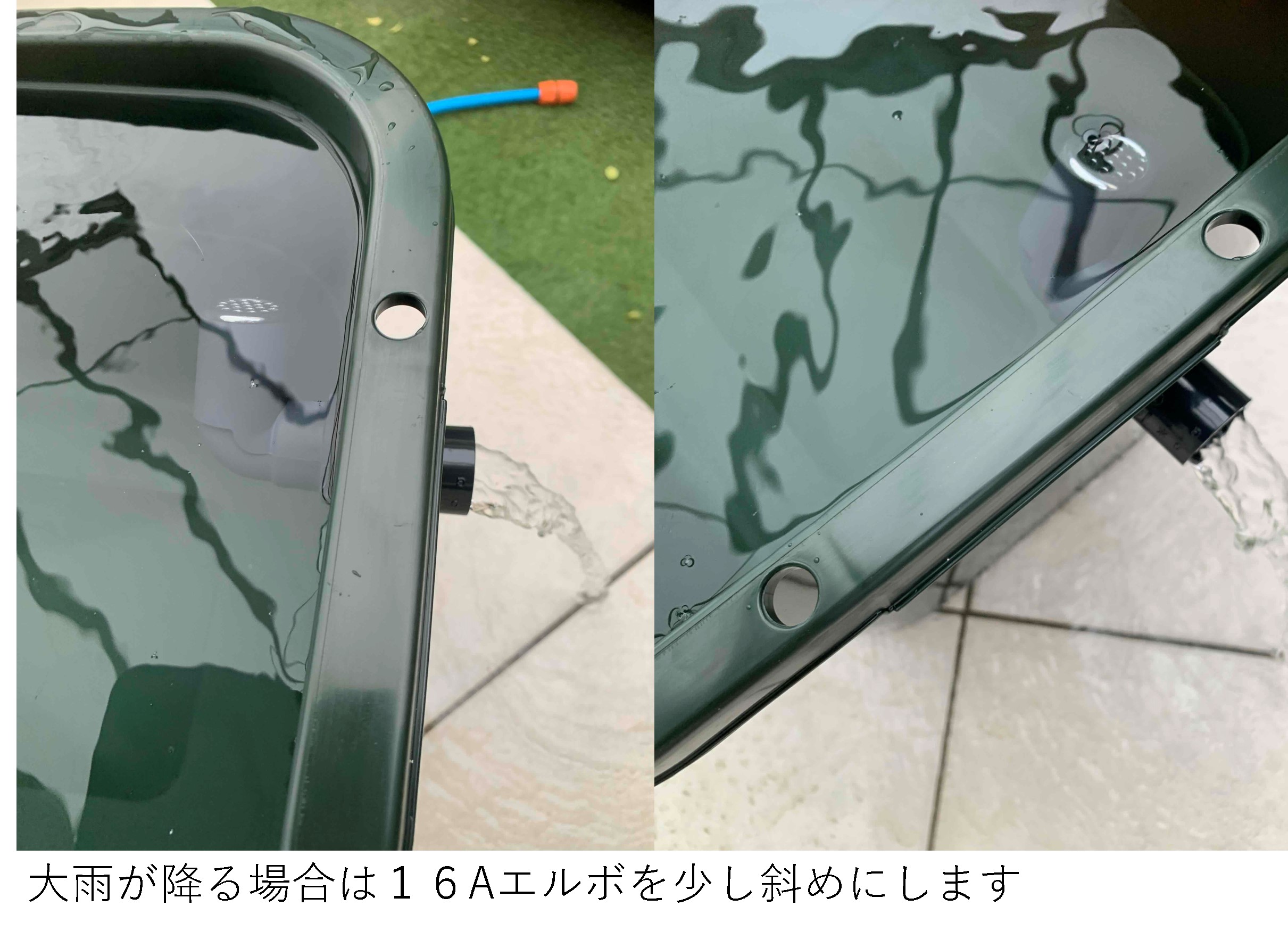 楽天市場】メダカ飼育ケース深緑36L オーバーフローメッキフィルター