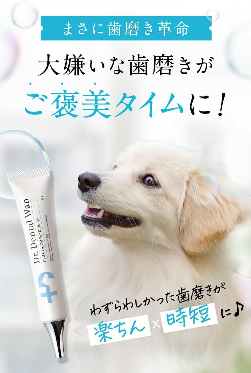 楽天市場】【2個セットでお得！】ドクターデンタルワン 30g×2本 2ヶ月