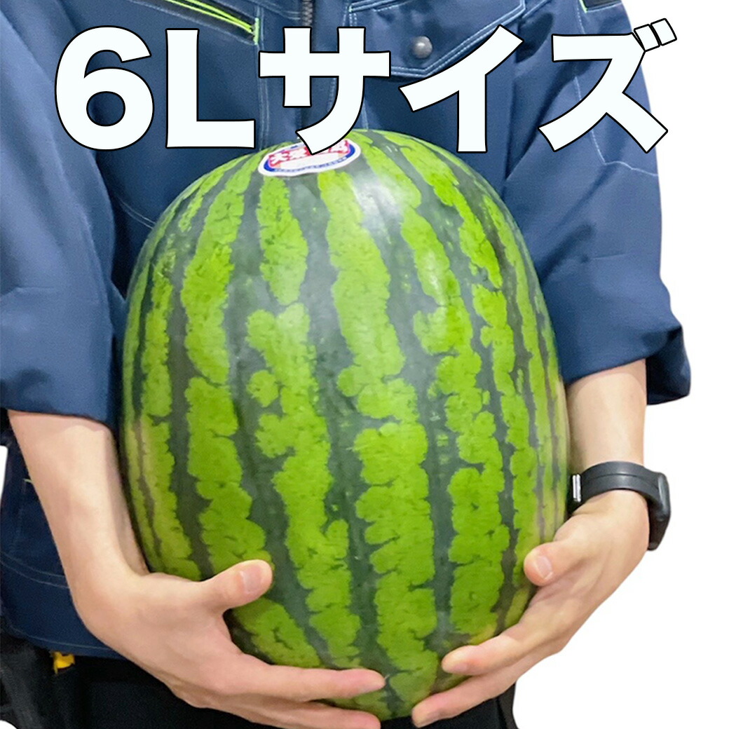 楽天市場】すいか スイカ 6Lサイズ 12Kg 西瓜 贈答用 鳥取県産 大栄