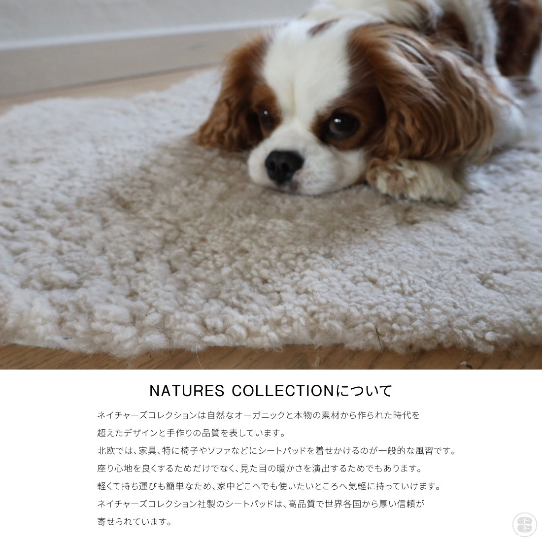 楽天市場】NATURES COLLECTION ネイチャーズコレクション Hot Water