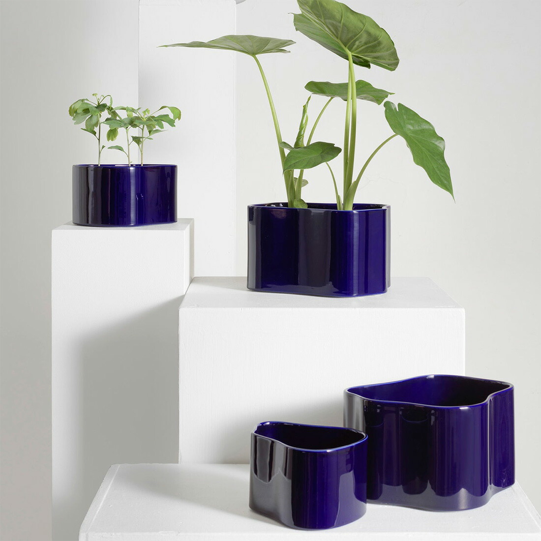 楽天市場】【ポストカードプレゼント】artek アルテック RIIHITIE