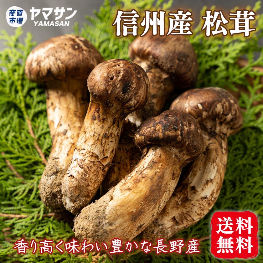 楽天市場】長野県産 松茸 200g 国産 長野 香り高い信州産 天然