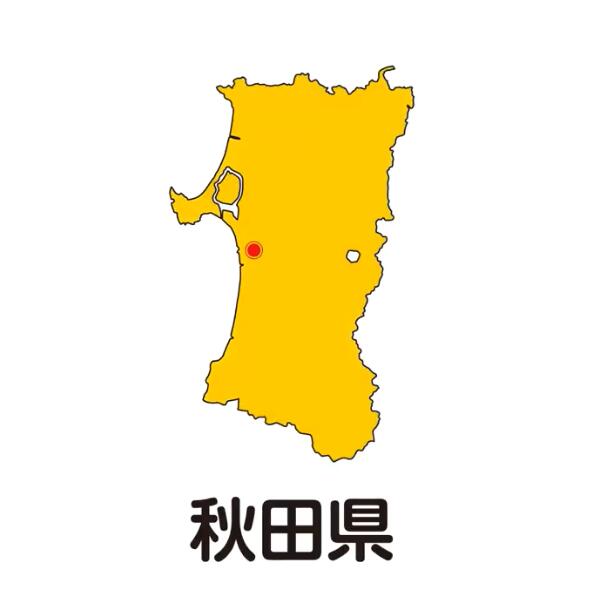 楽天市場】CD DVD キッズ ファミリー 学習 教育 歌って覚える