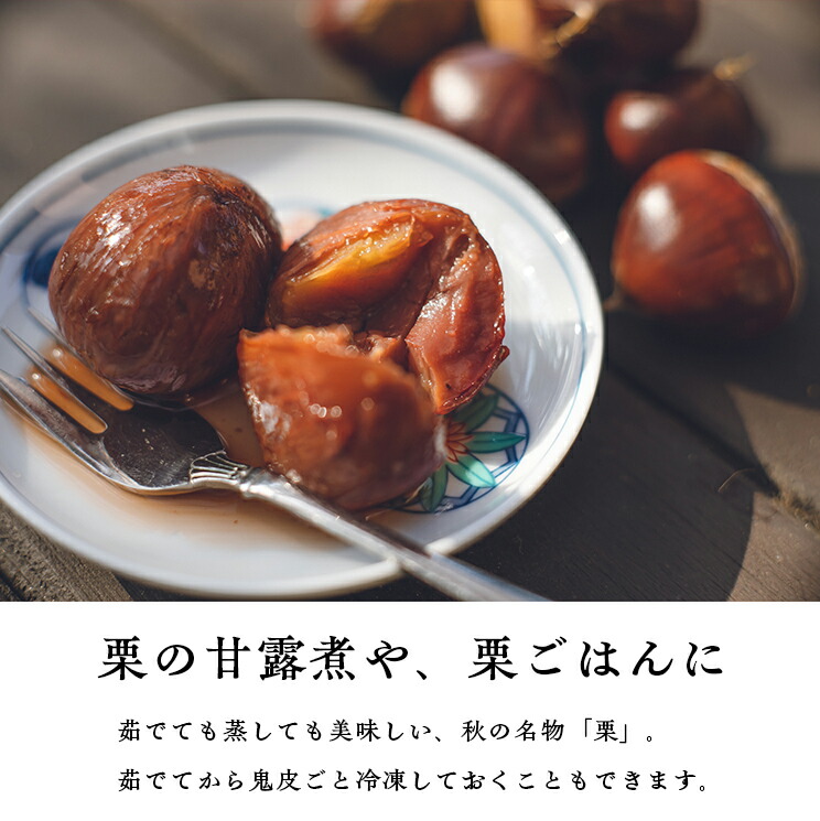 楽天市場】販売終了【4L最安1kg3420円〜】 9/30終了 愛媛県城川町産生