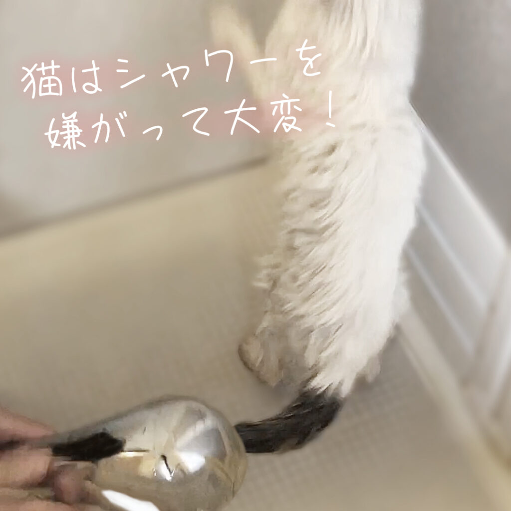 楽天市場】【セール！ 送料無料】自宅で猫ちゃんのシャワーが簡単に