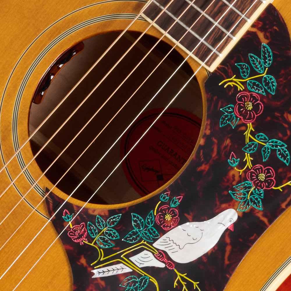 楽天市場】Epiphone Inspired by Gibson Custom 1963 Dove Reissue