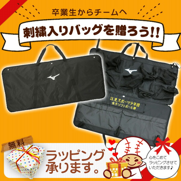 Mizuno 野球用ヘルメット 10個セット (ZETTヘルメットケース付き