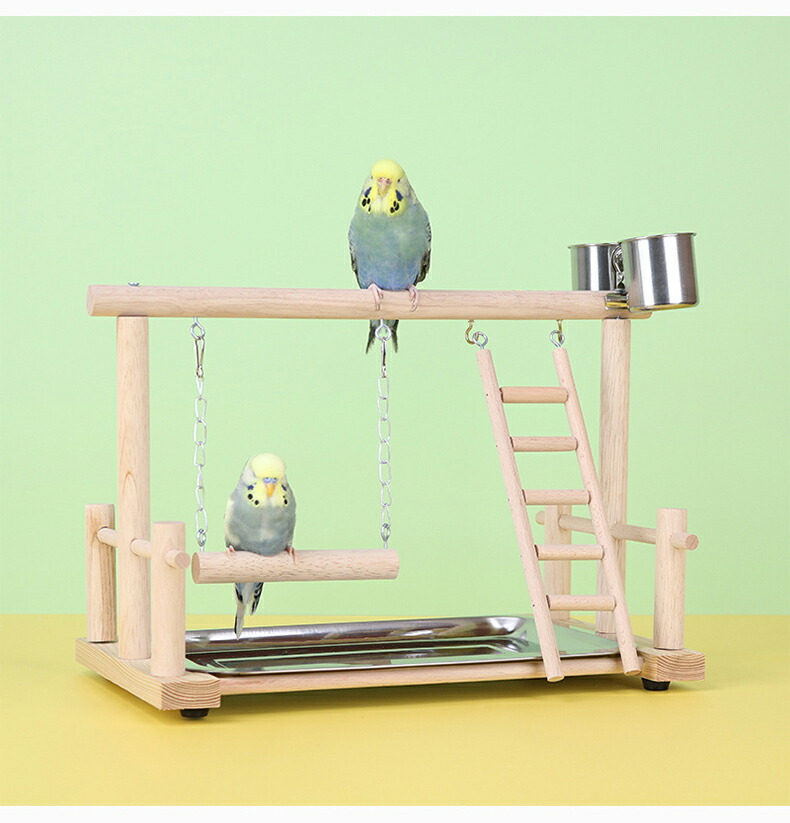 楽天市場】 【新作登場】インコ 遊び場 バード アスレチック 玩具