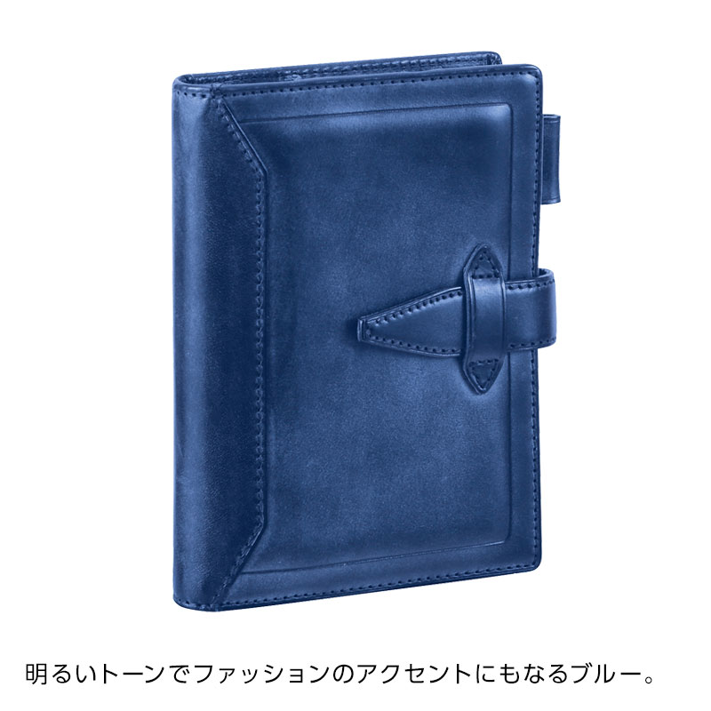 ダ・ヴィン ロロマクラシック 手帳カバー B6サイズ（NV8102） レイメイ