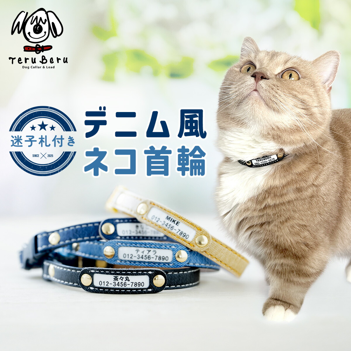楽天市場】猫 首輪 猫首輪 迷子札 セーフティ バックル 鈴 安全