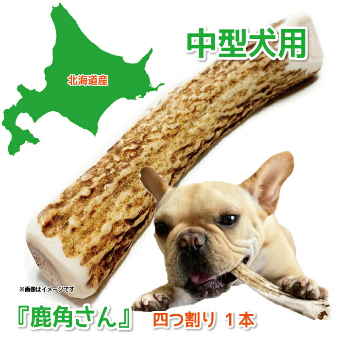 楽天市場】【中型犬用 蝦夷鹿の角】犬のおもちゃ『鹿角さん』 髄出し
