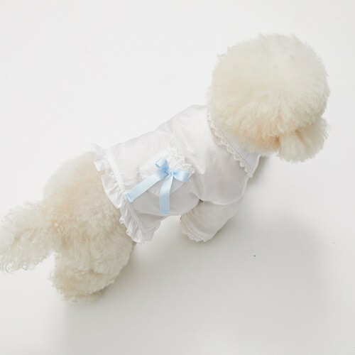 楽天市場】ルイスドッグ louisdog White Pearl Blouse【小型犬 犬服