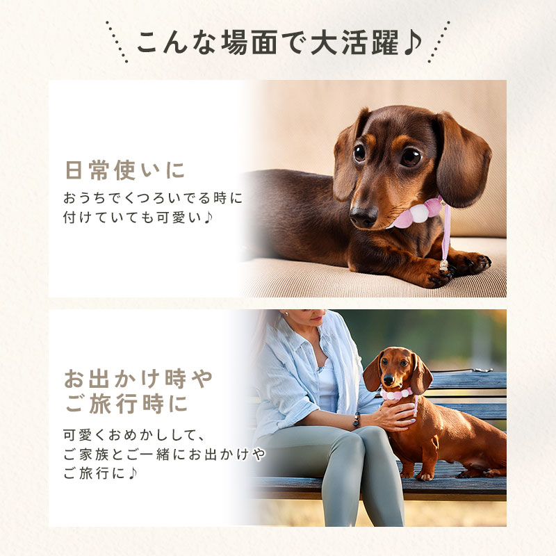 楽天市場】【3/4 20時〜先着10名様◎50％OFF】【可愛いデザイン◎】犬