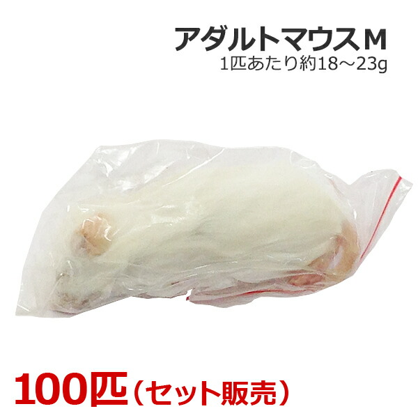 楽天市場】冷凍 マウス 100匹の通販