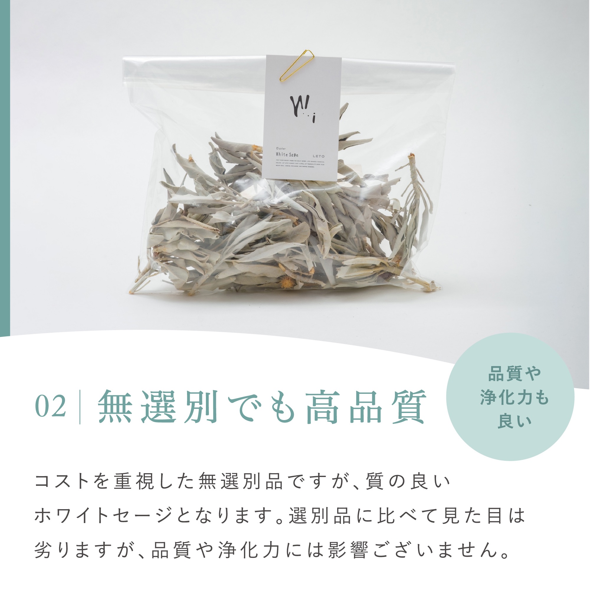 楽天市場】＼楽天ランキング1位／【 無選別品 高品質 】 ホワイト