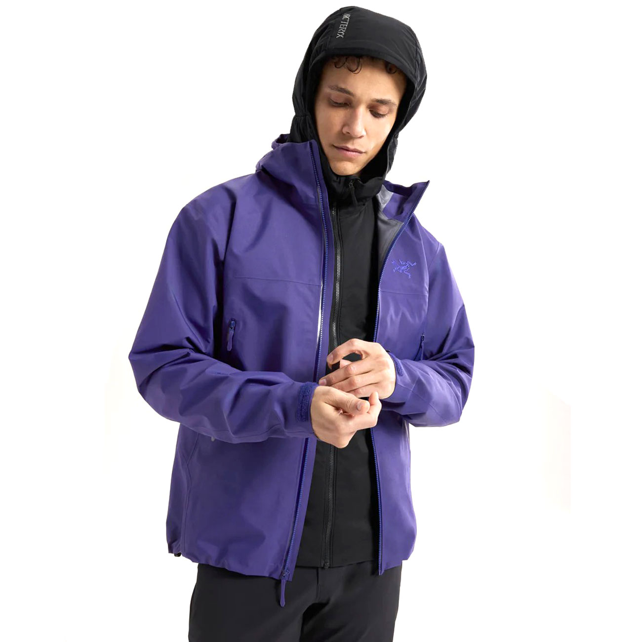 楽天市場】【国内正規品】【正規取扱店】ARC'TERYX（アークテリクス