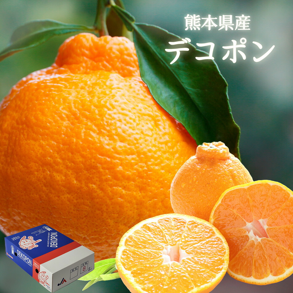 楽天市場】【熊本県産 デコポン 約1k or 約2k or 約3k or 約5k