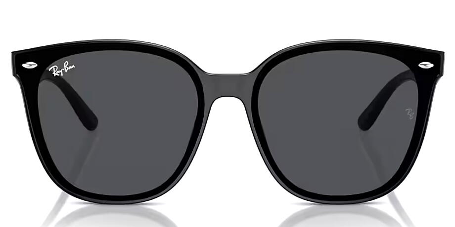楽天市場】レイバン RayBan RB4423D 601/87 66mm ブラック