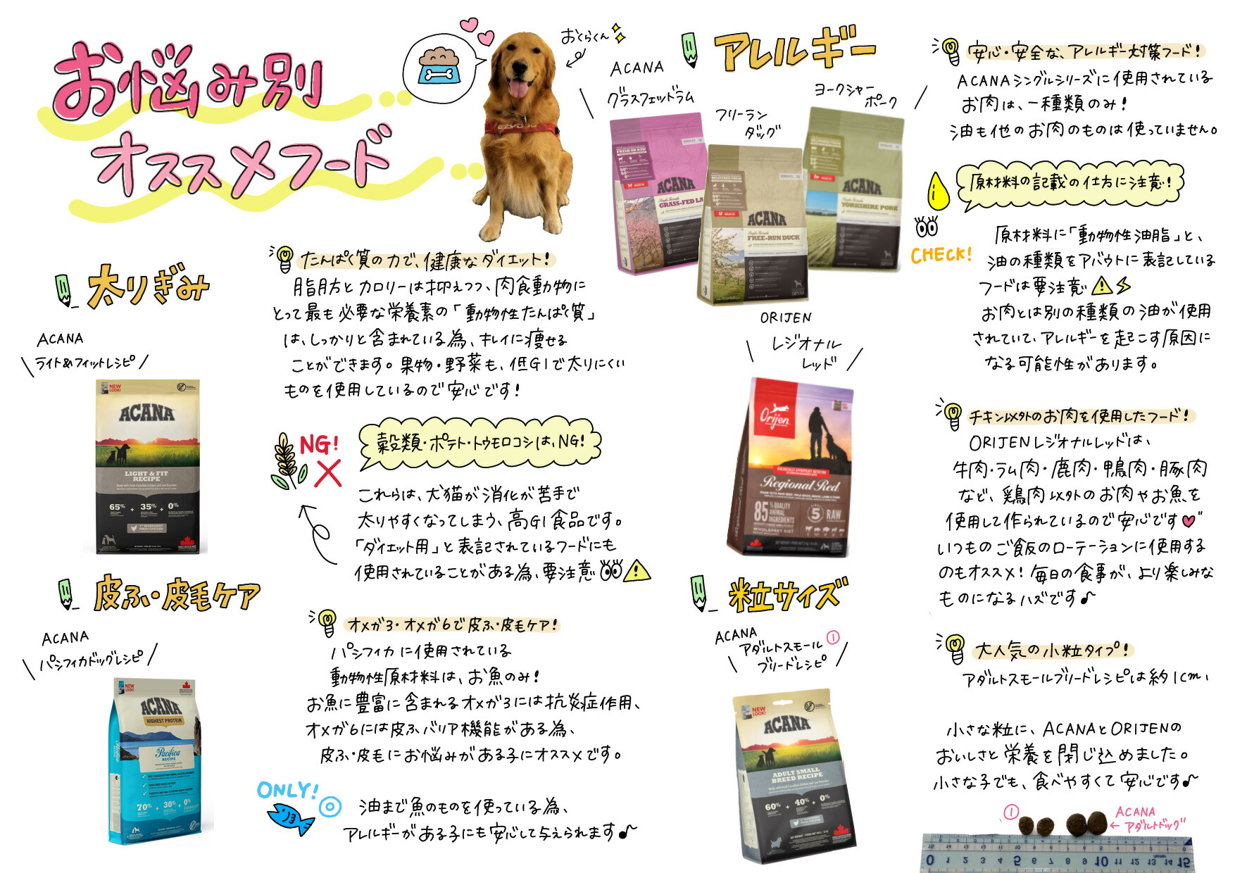 楽天市場】アカナ acana パピースモールブリードレシピ 2kg 正規品