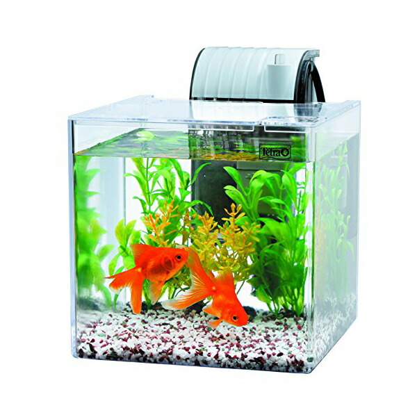 楽天市場】金魚 飼育セットの通販