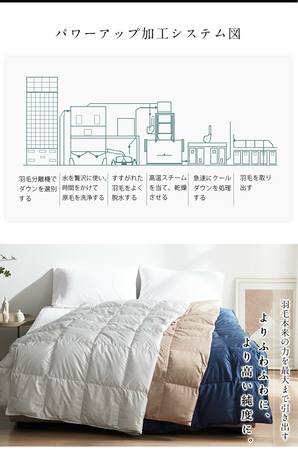 楽天市場】羽毛布団 ダウンケット シングル ダウン80% 90％ 薄い 羽毛