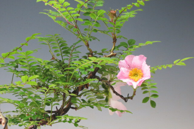 imgrc0072697999.jpg