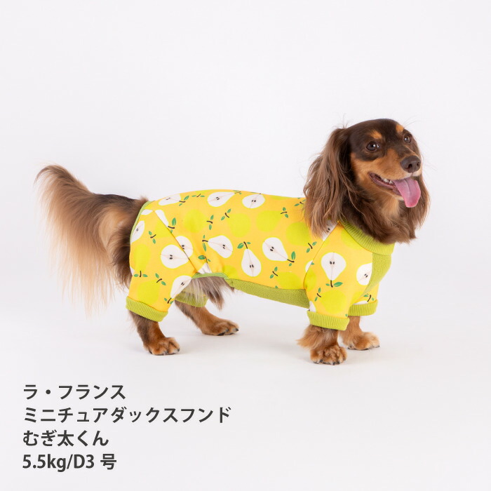 楽天市場】犬服 冬 ロンパース 裏起毛 プリント フルーツ柄 VERY 小型