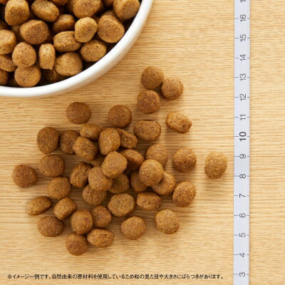 Nutro ラム & 玄米 ドライフード 4kg 楽天市場】ニュートロ ラム&玄米