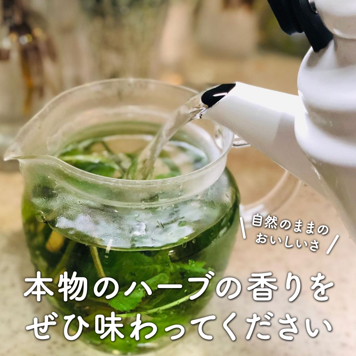 楽天市場】【本日P2倍】 ハーブティー 5パックセット（安眠 睡眠