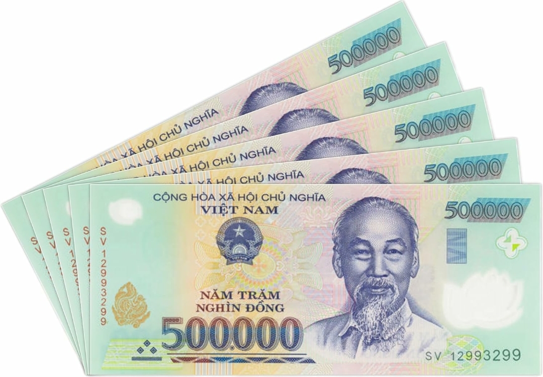 楽天市場】【品質保証書付】ベトナム ドン 50万ドン 5枚 ベトナムドン