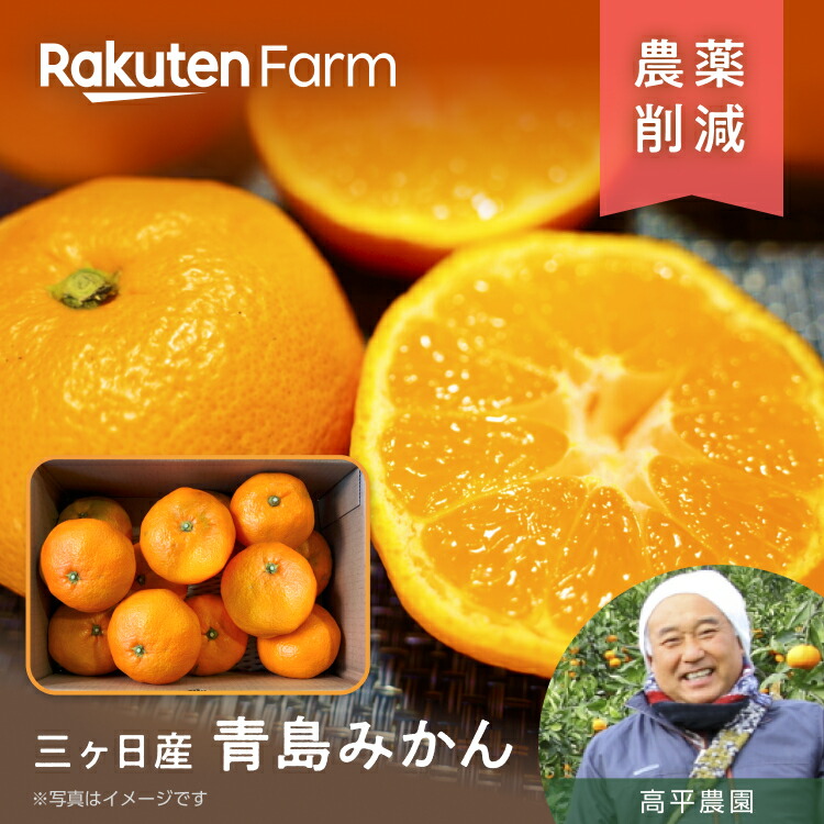 楽天市場】【受付終了】静岡三ヶ日で育った青島みかん 約2kgまたは3.5