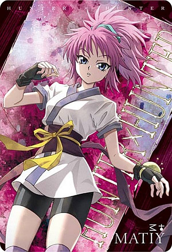 楽天市場】hunter×hunter マチの通販