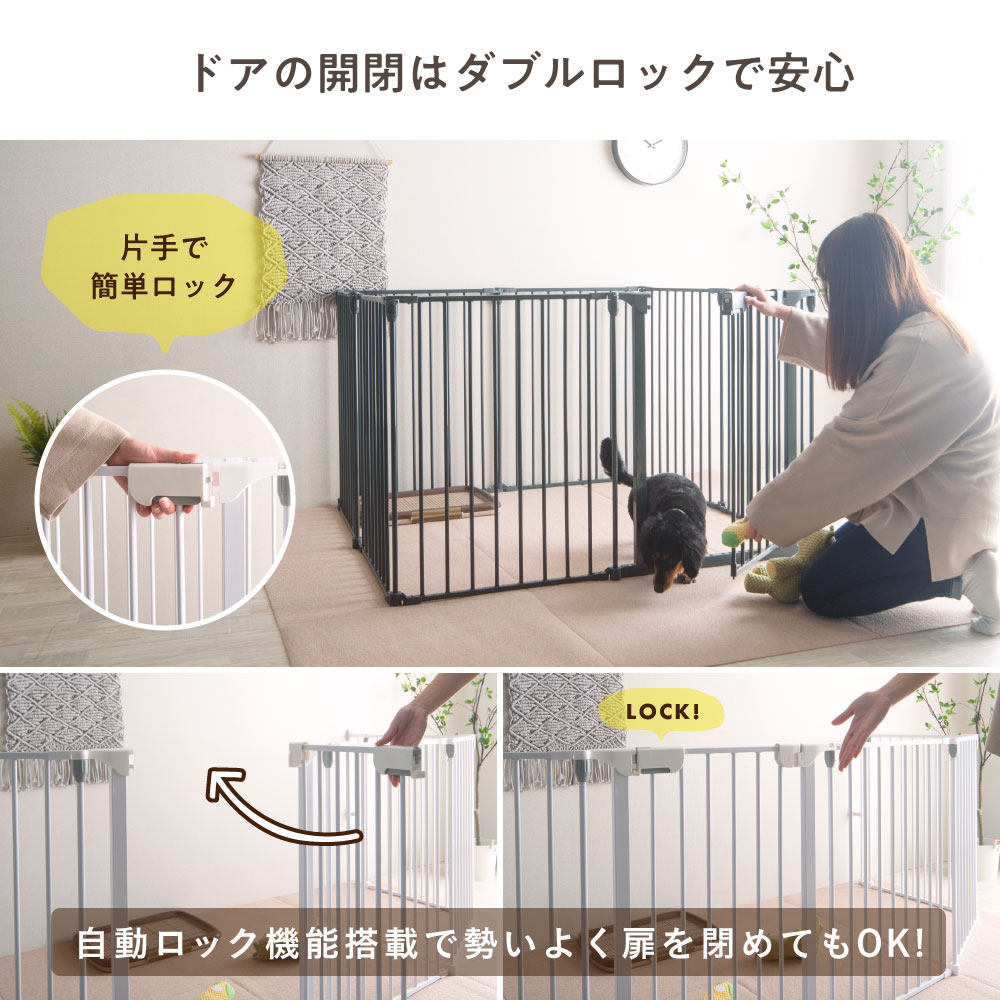 pet-pecocochi_ds-4.jpg