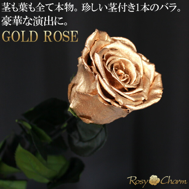 楽天市場】金色の薔薇 1本 プリザーブドフラワー ゴールド ローズ
