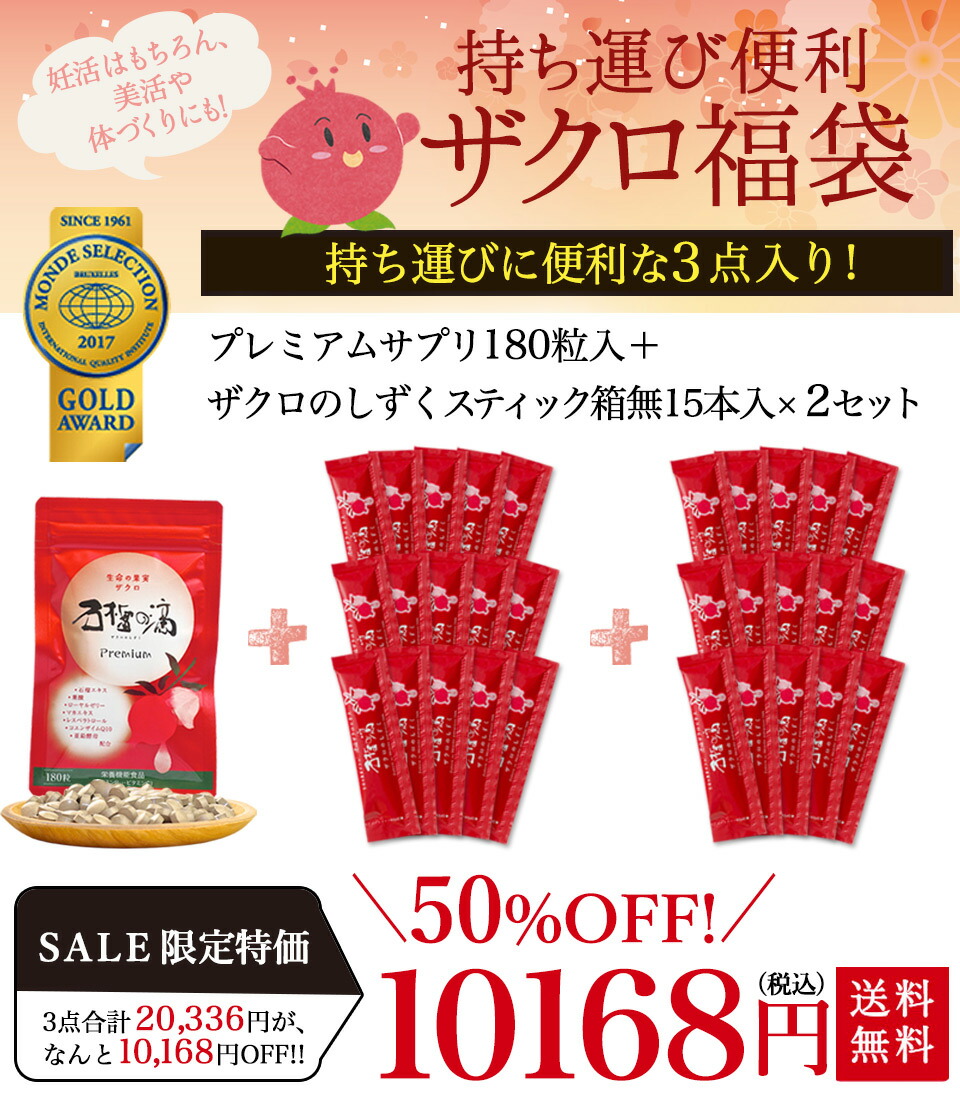 楽天市場】[ポイント2倍!3/11 1:59迄]楽天スーパーSALE 半額! 持ち運び