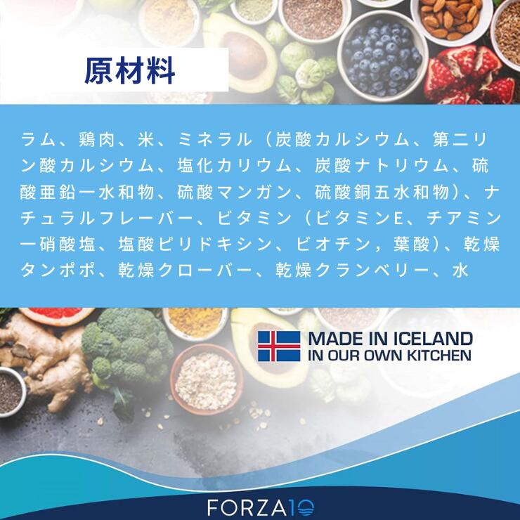 楽天市場】犬 腎臓 療法食 フォルツァエディチ ウェット【お試し6個
