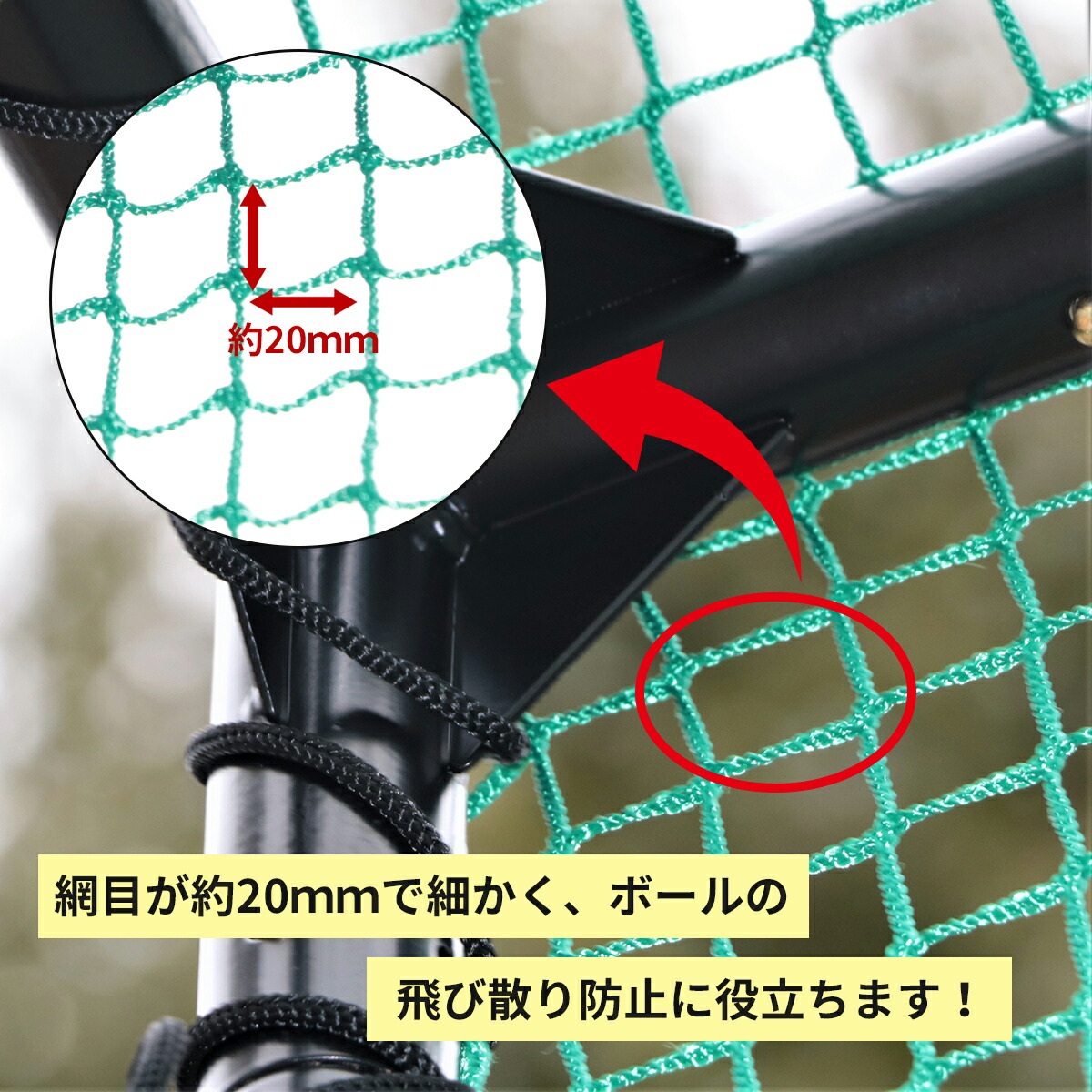 compass1695712545.jpg
