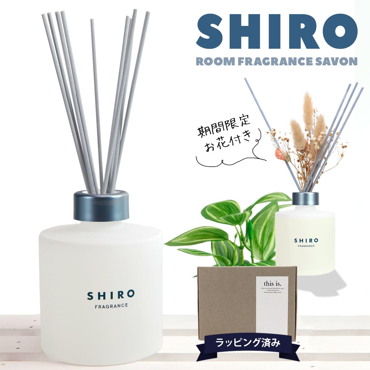 楽天市場】【期間限定 彩るお花付き】 shiro シロ ルーム フレグランス