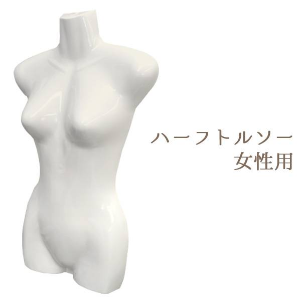 楽天市場】レディース トルソー ディスプレイ マネキン 婦人用 前面