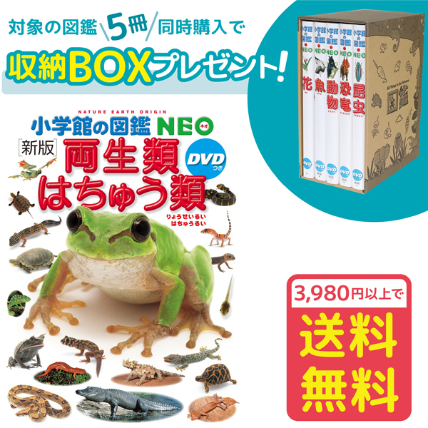 楽天市場】【収納BOX付・送料無料・条件有】小学館の図鑑NEO［新版