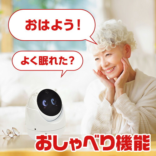 楽天市場】見守りロボット ユピ坊 ユピテル YR-03 見守り 防犯 テレビ